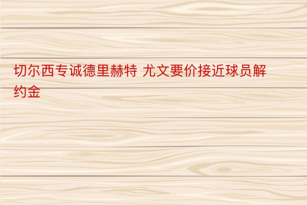 切尔西专诚德里赫特 尤文要价接近球员解约金