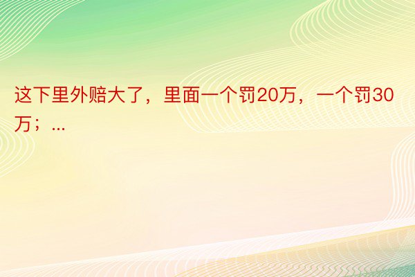 这下里外赔大了，里面一个罚20万，一个罚30万；...