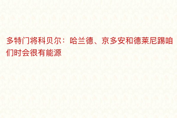 多特门将科贝尔：哈兰德、京多安和德莱尼踢咱们时会很有能源